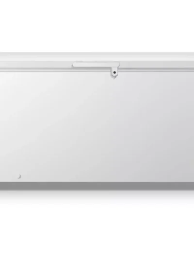 Congélateur armoire GORENJE FH50EAW
