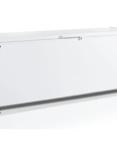 Congélateur pro TEFCOLD 16162