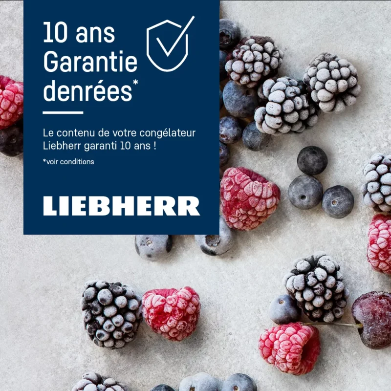 Congélateur coffre LIEBHERR CFE2500-26 – Image 3